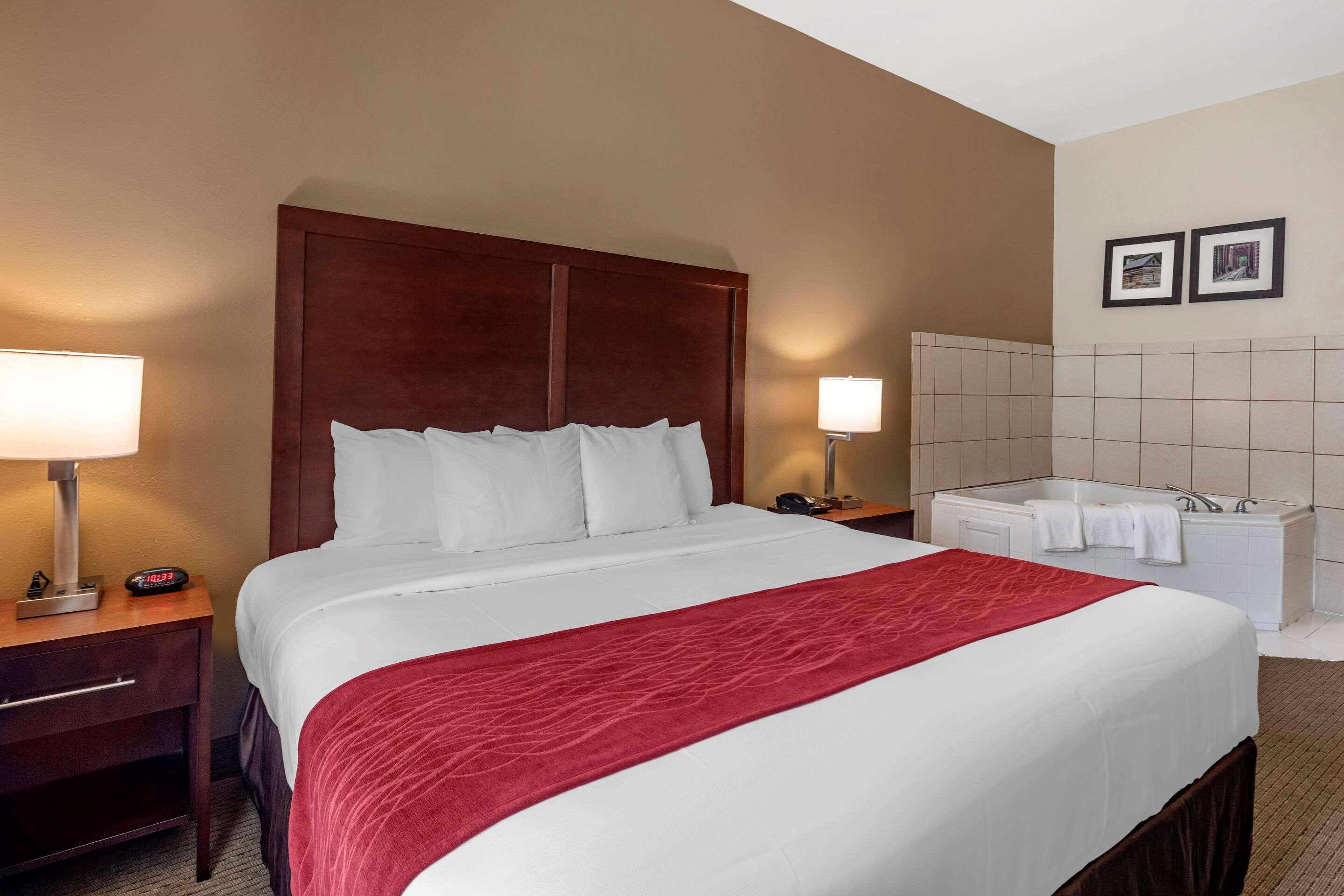 Comfort Inn & Suites Вилла-Рика Экстерьер фото